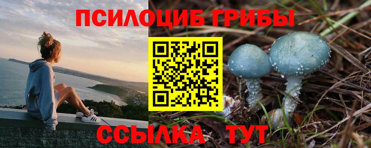Галлюциногенные грибы ЛСД Черняховск