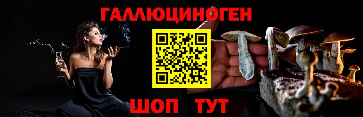 Псилоцибиновые грибы Magic Shrooms  Галлюциногенные грибы мухоморы  купить наркоту  Вход с VPN  Черняховск 